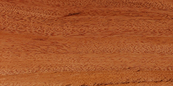 African Mahogany - Clear